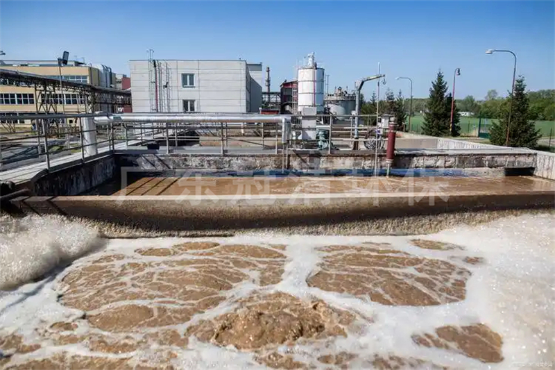 污水處理廠碳減排：厭氧消化甲烷回收技術(shù)體系構(gòu)建