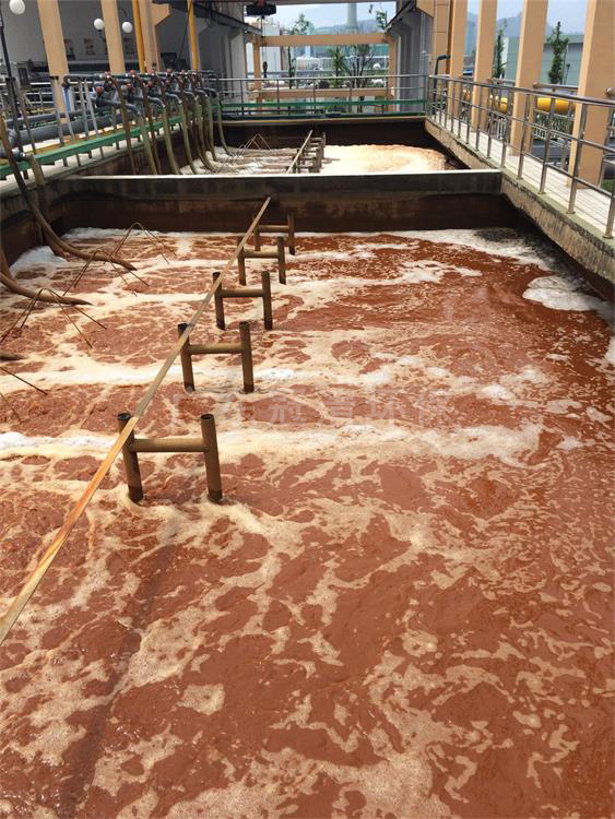 中低濃度氨氮廢水處理光催化技術(shù)